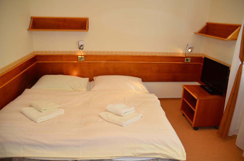 Penzion Fontis Terrae Hotel Trencianske Teplice Room photo